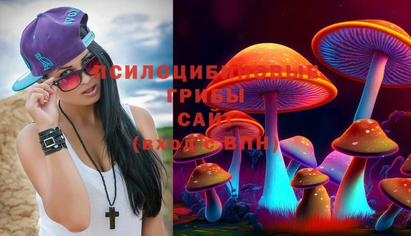 кристаллы Инта