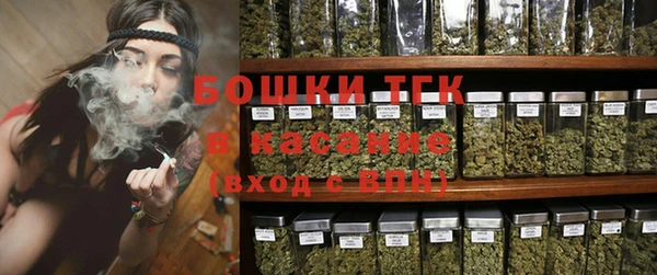 ПСИЛОЦИБИНОВЫЕ ГРИБЫ Иннополис