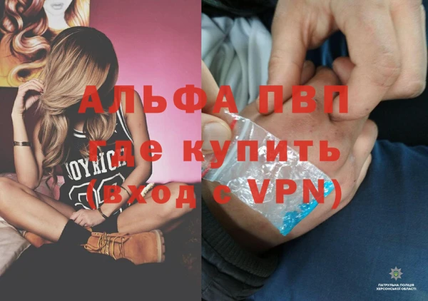 Альфа ПВП Инсар