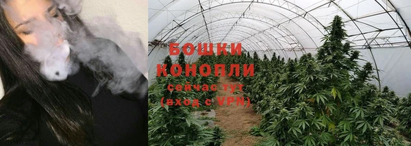 ПСИЛОЦИБИНОВЫЕ ГРИБЫ Иннополис