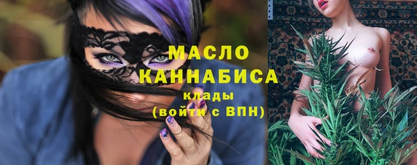Альфа ПВП Инсар