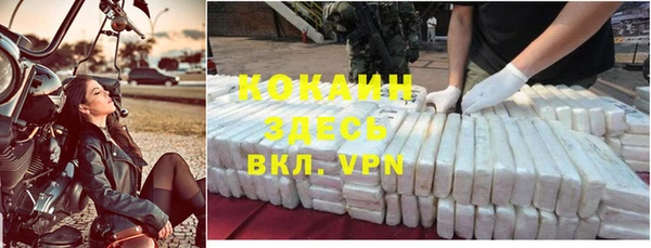 Альфа ПВП Инсар