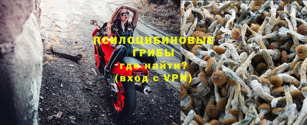 ПСИЛОЦИБИНОВЫЕ ГРИБЫ Иннополис