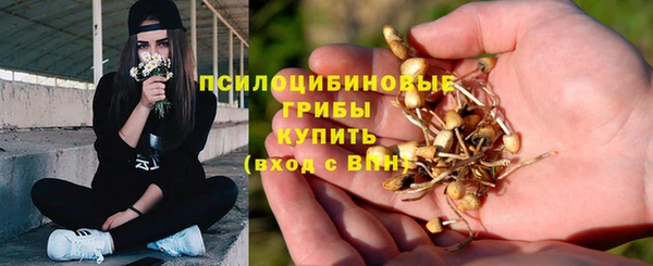 ПСИЛОЦИБИНОВЫЕ ГРИБЫ Иннополис