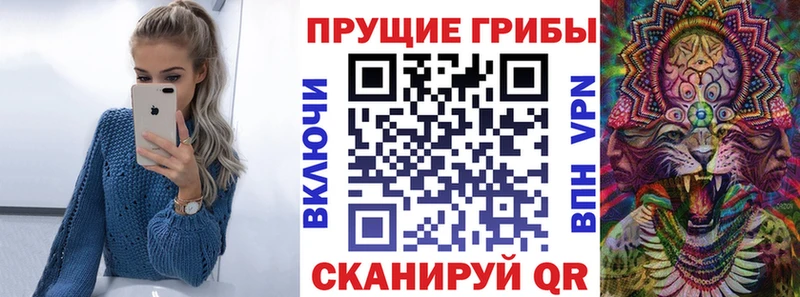 Купить  Новомосковск  Псилоцибиновые грибы Magic Shrooms 