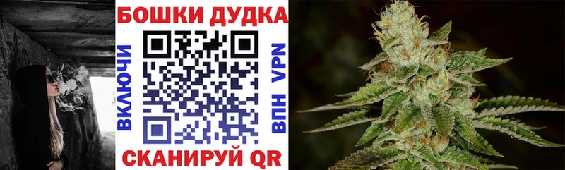 Купить где  Новомосковск  Бошки Шишки семена 